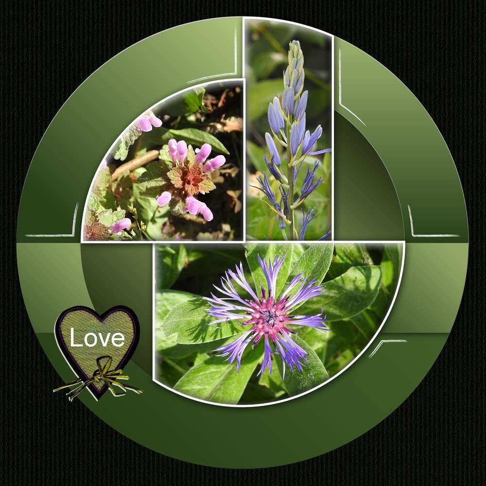 2-CHALLENGE PRINTEMPS - C'EST VERT