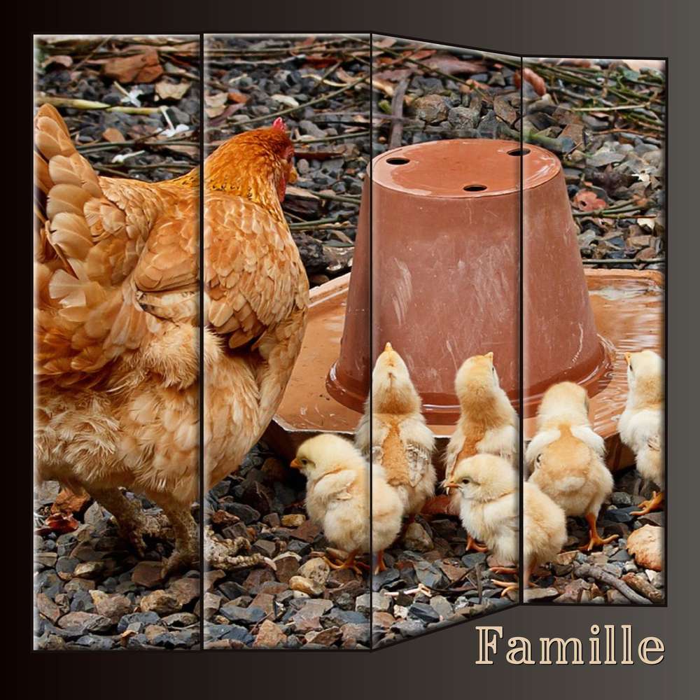 2-CHALLENGE PRINTEMPS - FAMILLE