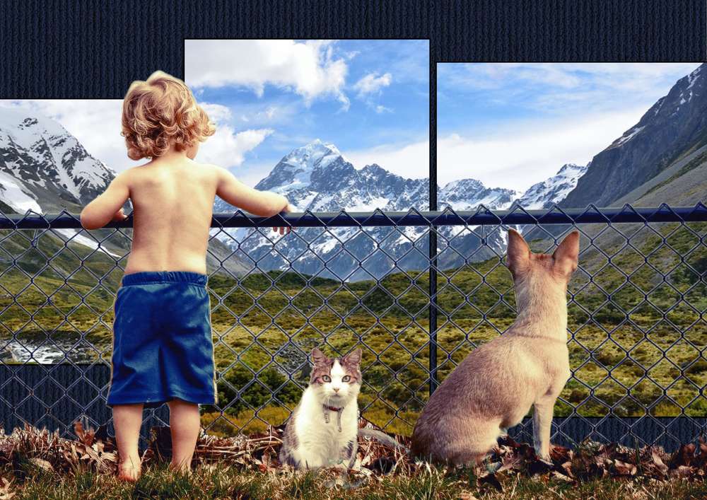 2-DEFI CDIP - INSPIRATION COMPLICITE