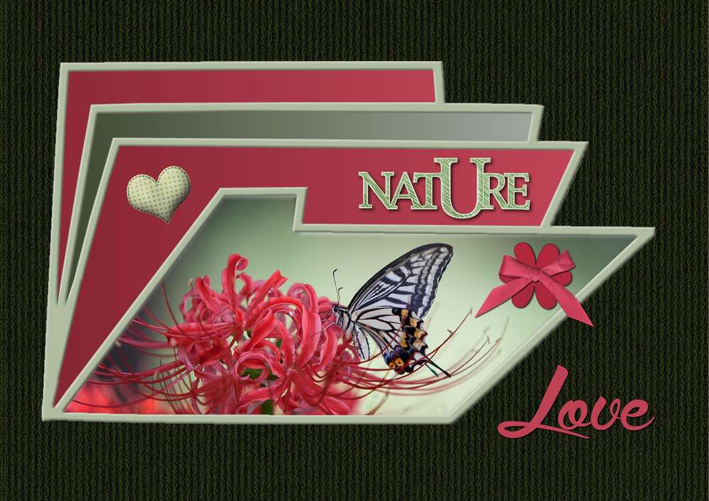 2-DEFI CDIP - INSPIRATION FLEURS