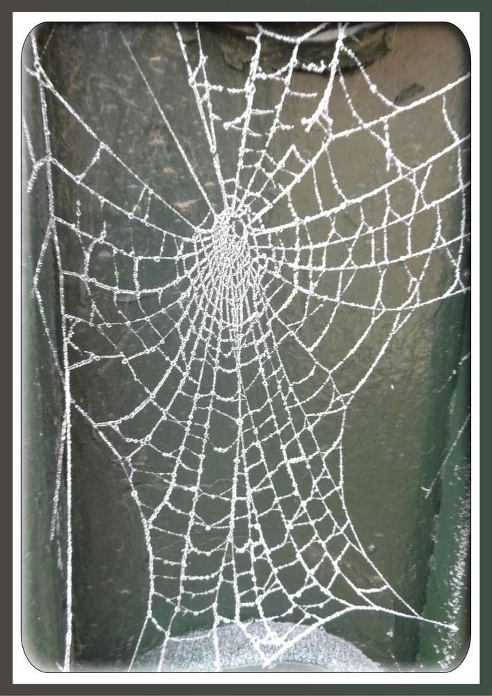 2-DENTELLE PERLEE DU MATIN