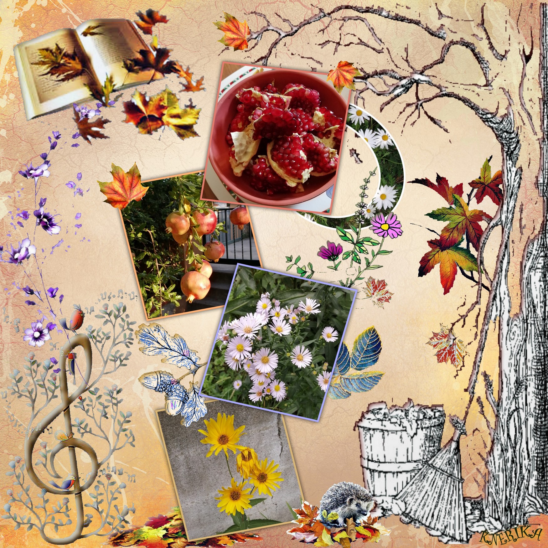 2  Derniers trésors du jardin à l'arrivée de l'automne_Anne Marie.jpg