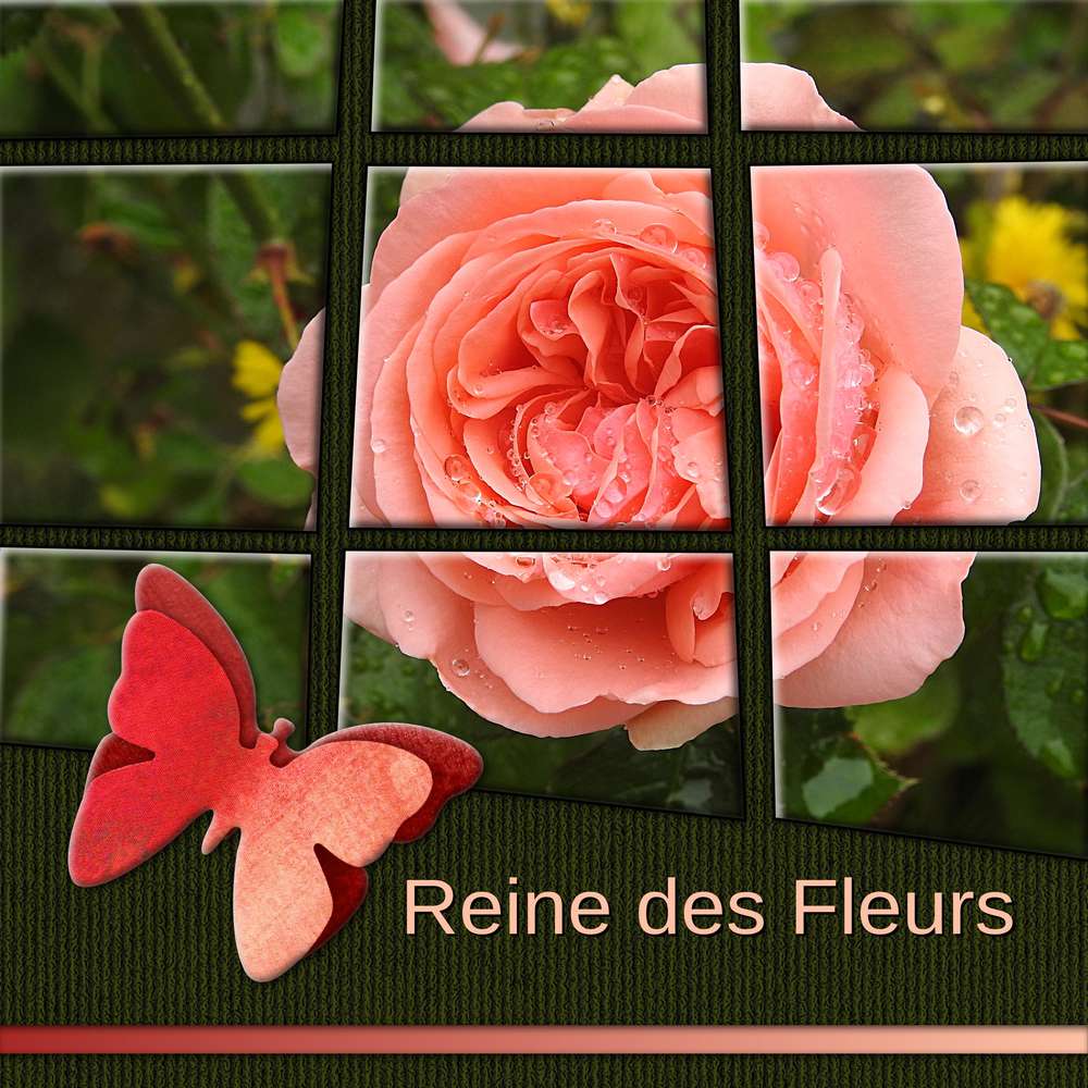 2-DEVOIR DE VACANCES - LE THEME DES MOSAIQUES