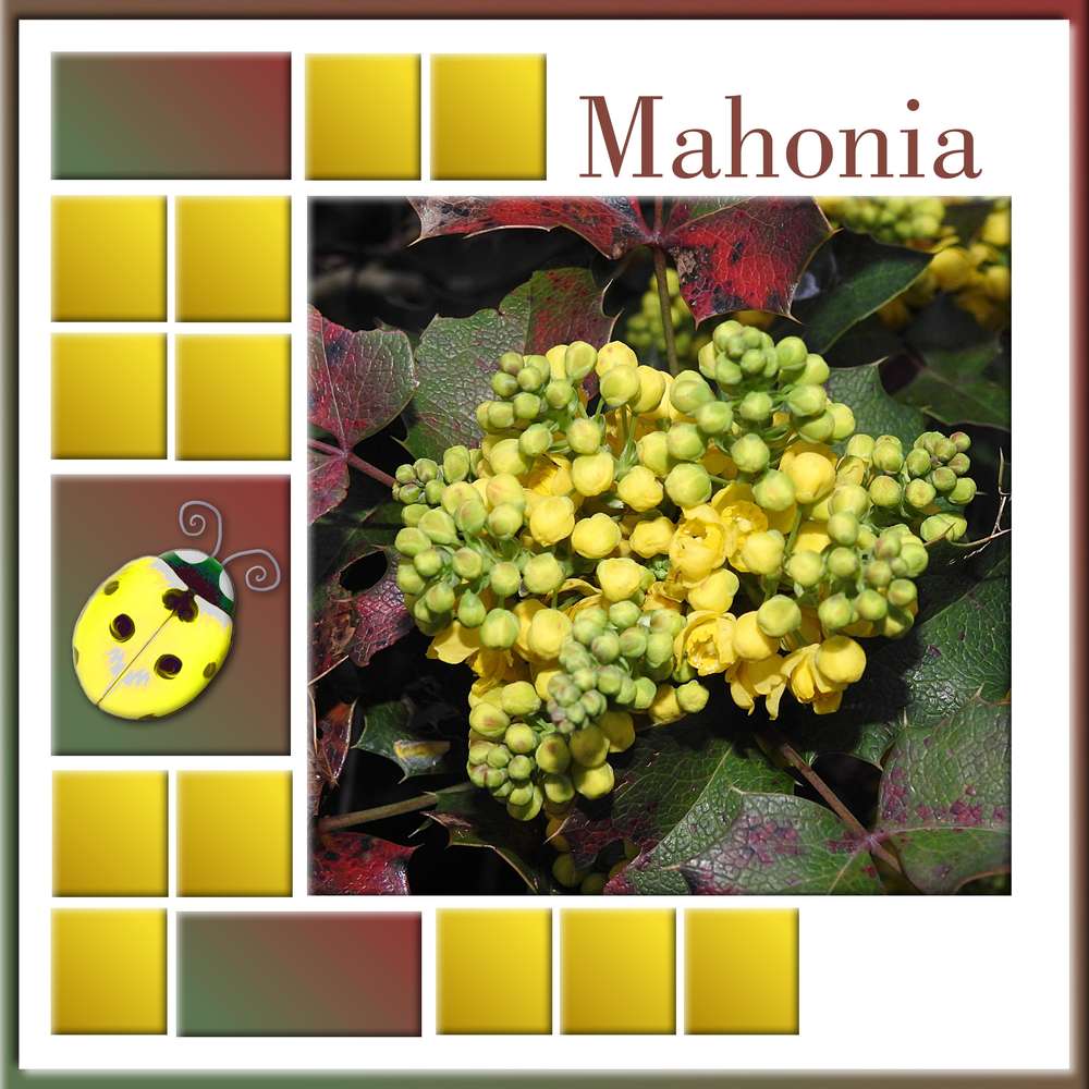 2-FLEUR(S) DE PRINTEMPS - MARDI 31 MARS 2020