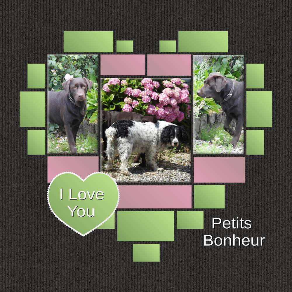 2- I LOVE YOU PETITS BONHEURS