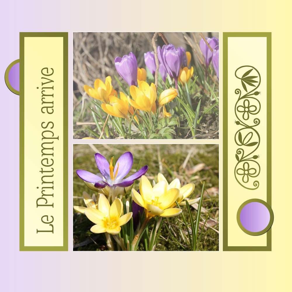 2-LE PRINTEMPS ARRIVE