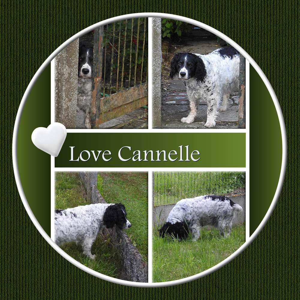 2-LOVE CANNELLE