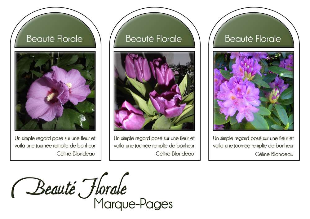 2-MARQUE-PAGES - BEAUTE FLORALE