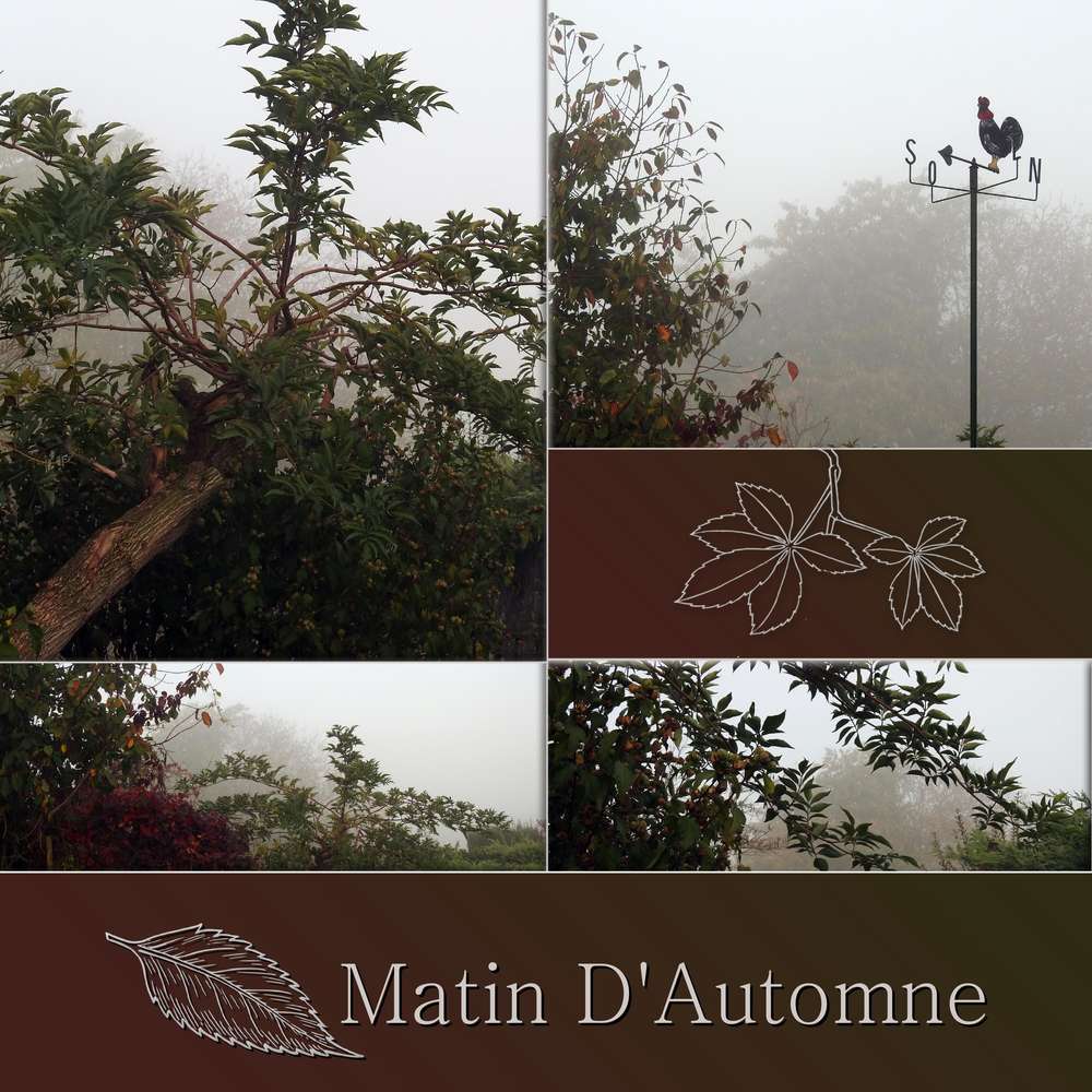2-MATIN D'AUTOMNE