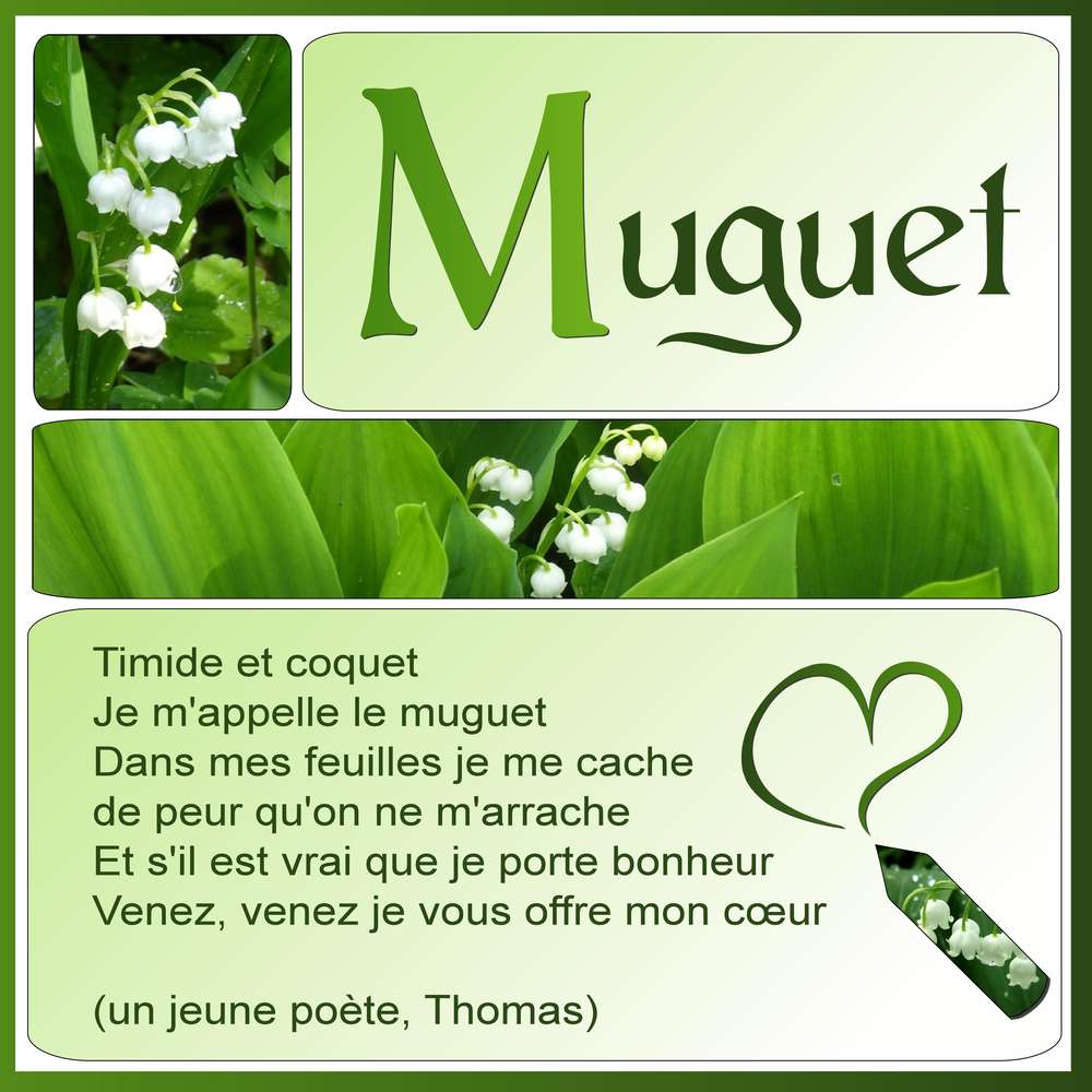 2-MUGUET