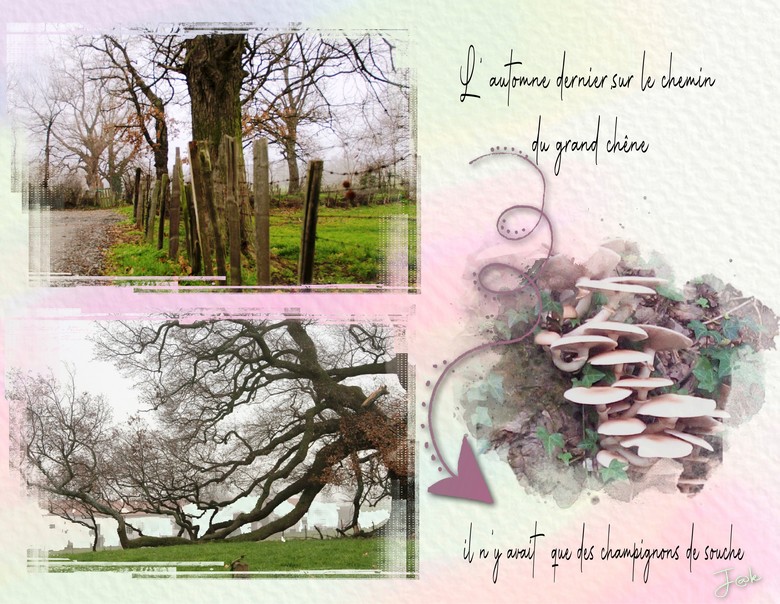 2 octobre (deux)automne.jpg