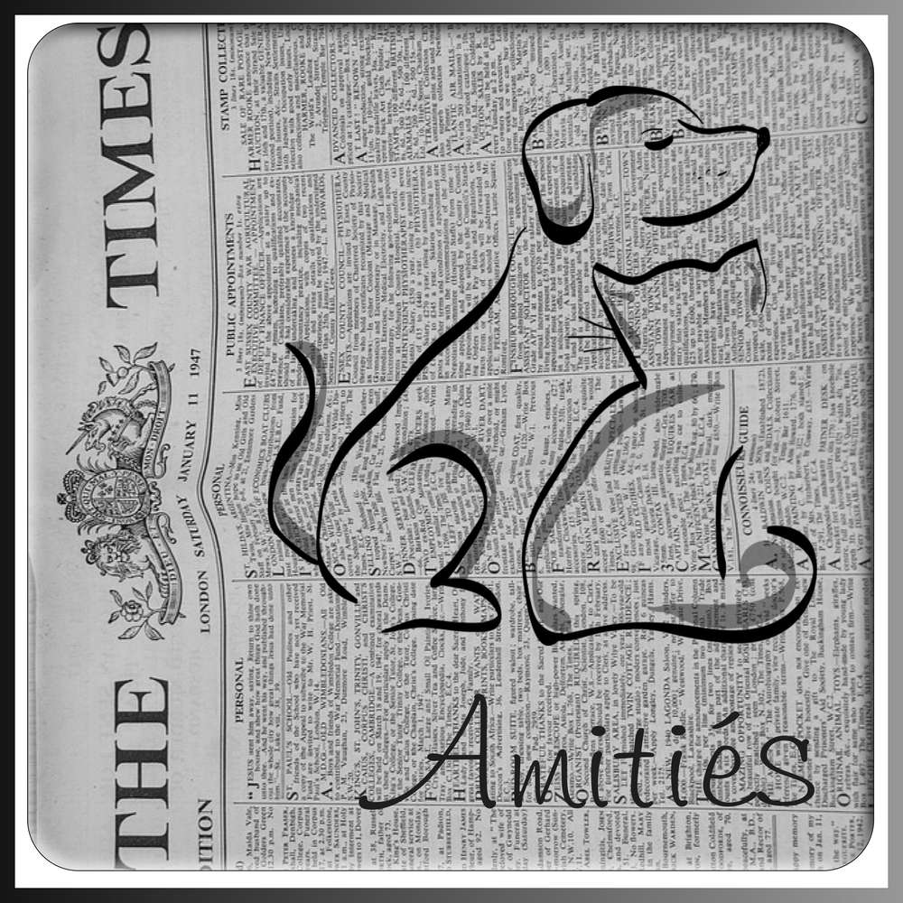 2-REALISATION - AMITIES