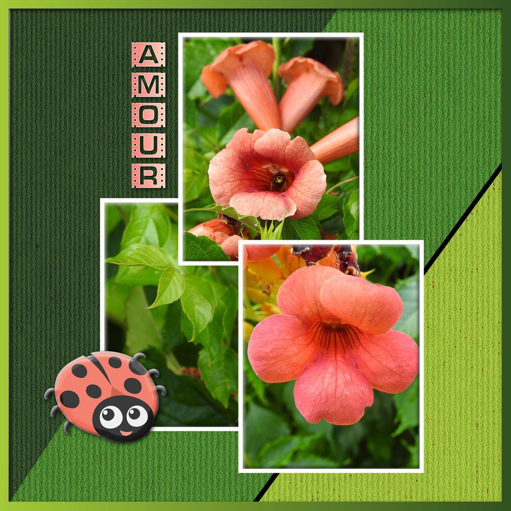 2-REALISATION - AMOUR