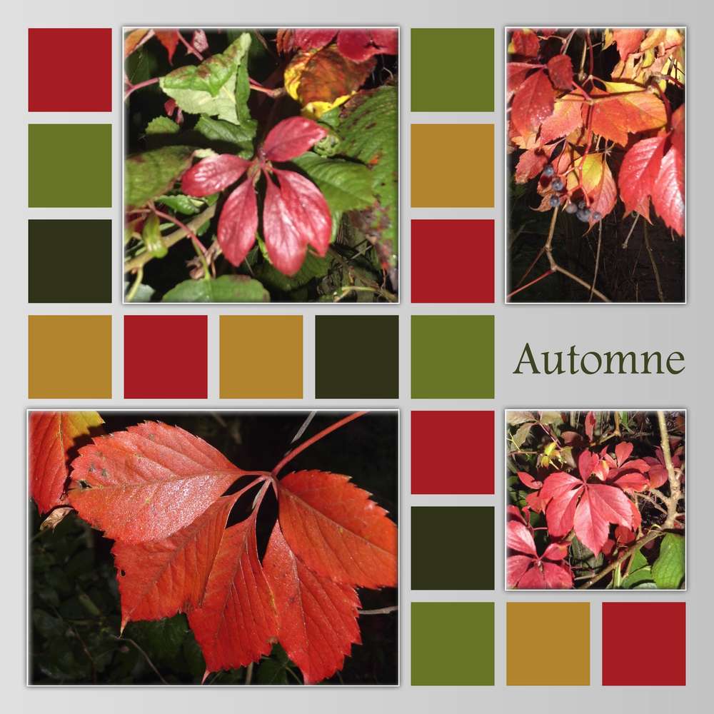 2-REALISATION - AUTOMNE