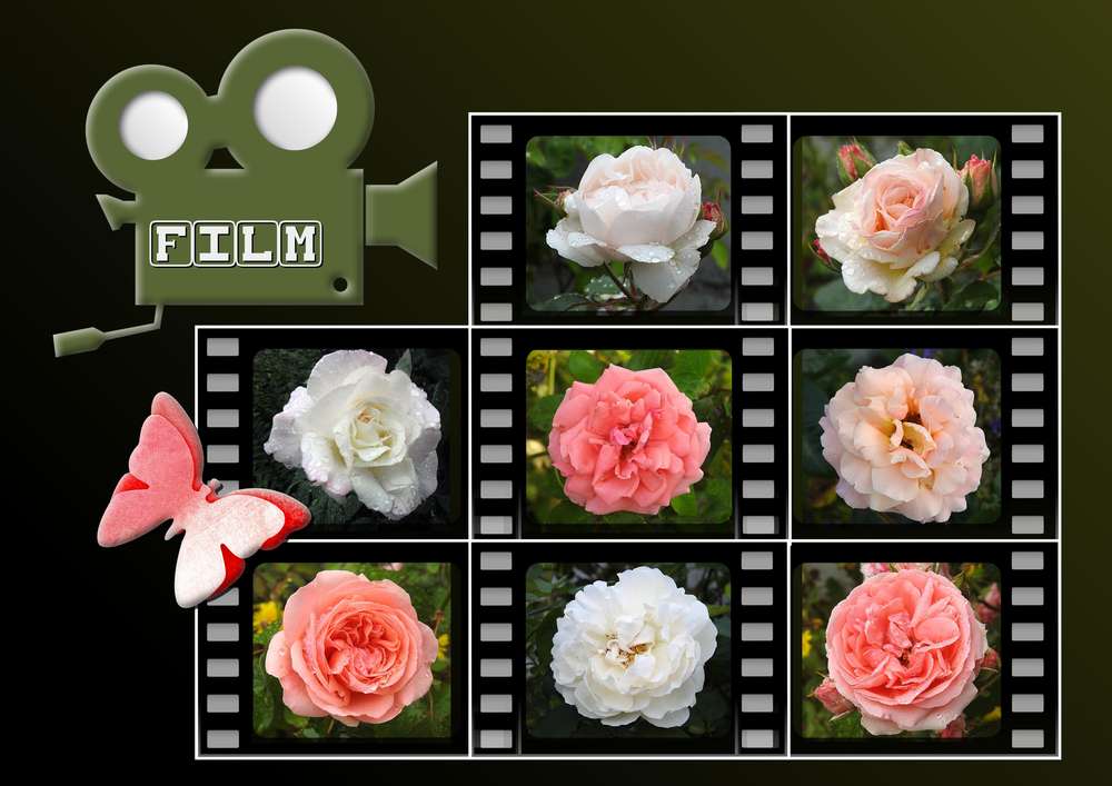 2-REALISATION - BEAUTE FLORALE