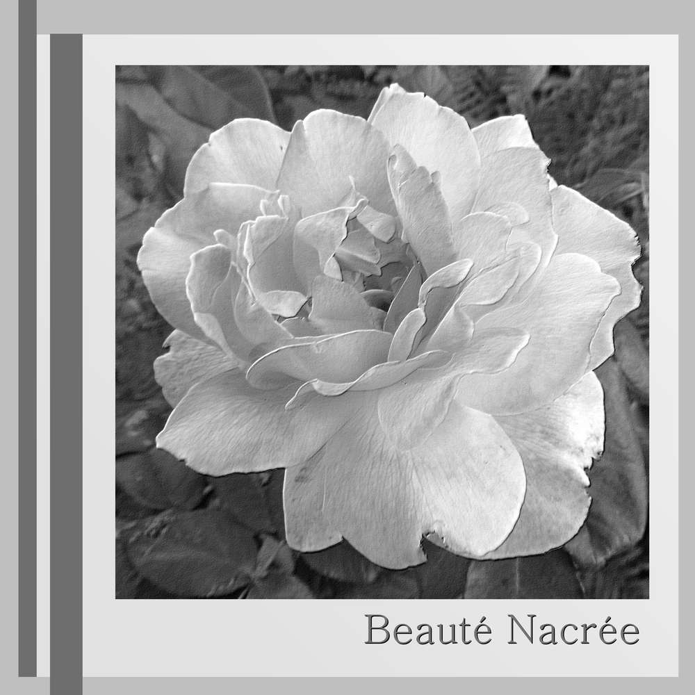 2-REALISATION - BEAUTE NACREE