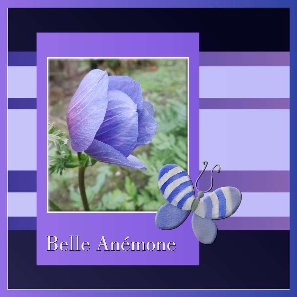 2-REALISATION - BELLE ANEMONE