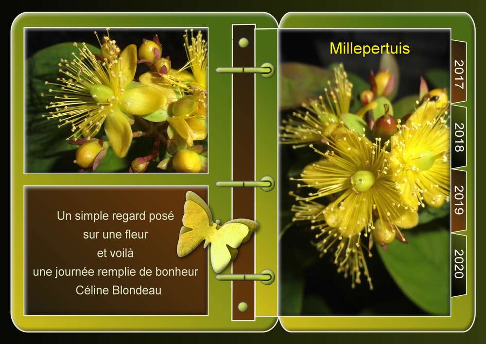 2-REALISATION - BONHEUR