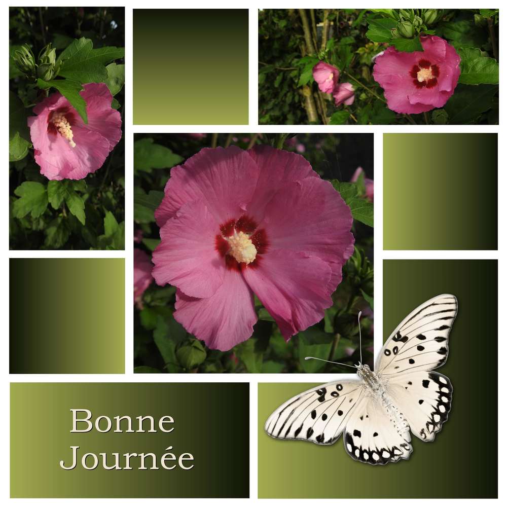 2-REALISATION - BONNE JOURNEE