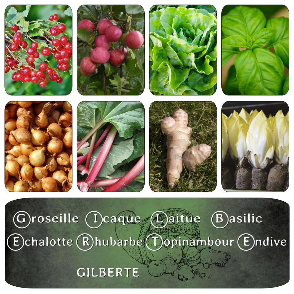 2-REALISATION DE L'ACROSTICHE