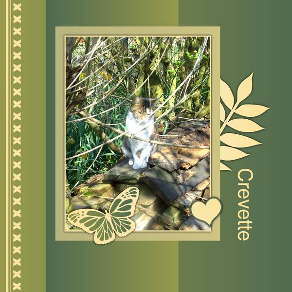 2-REALISATION DU CHALLENGE