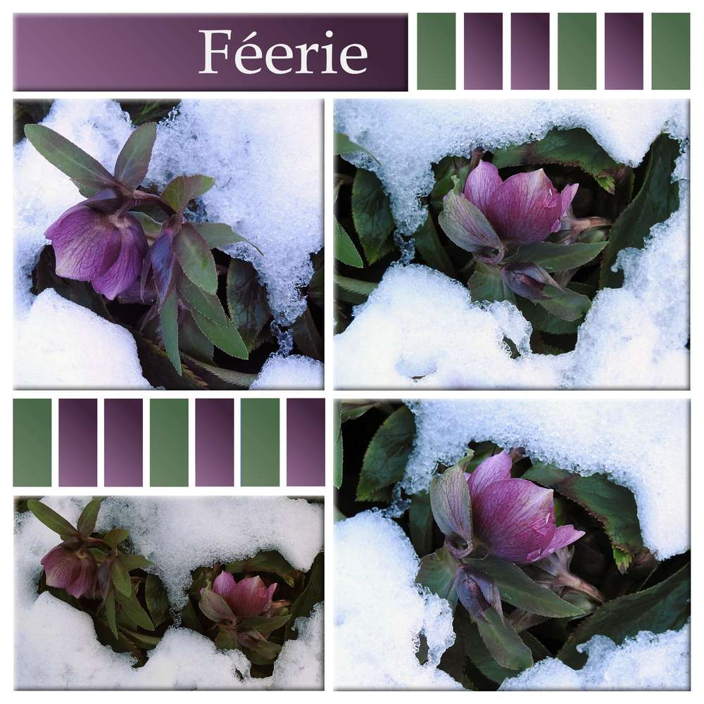 2-REALISATION - FEERIE (HIVERNALE)