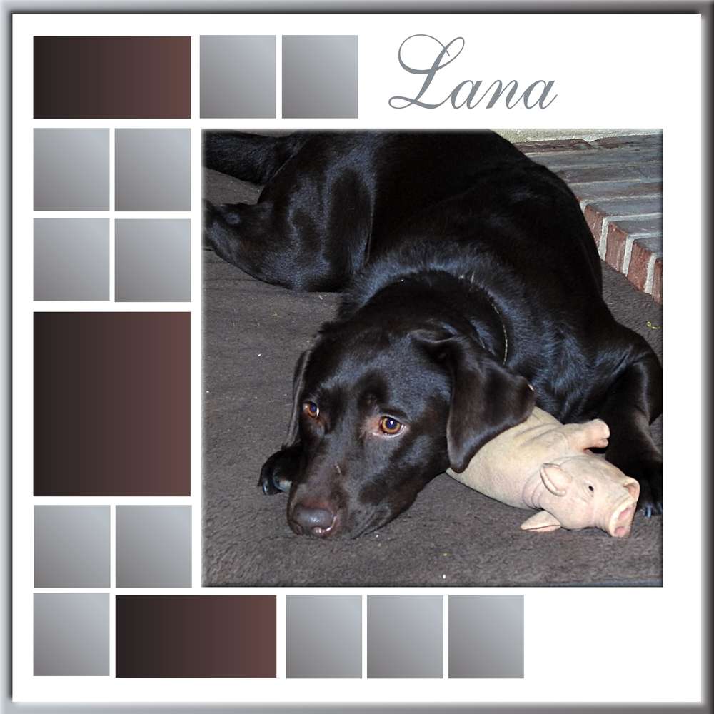 2-REALISATION - LANA