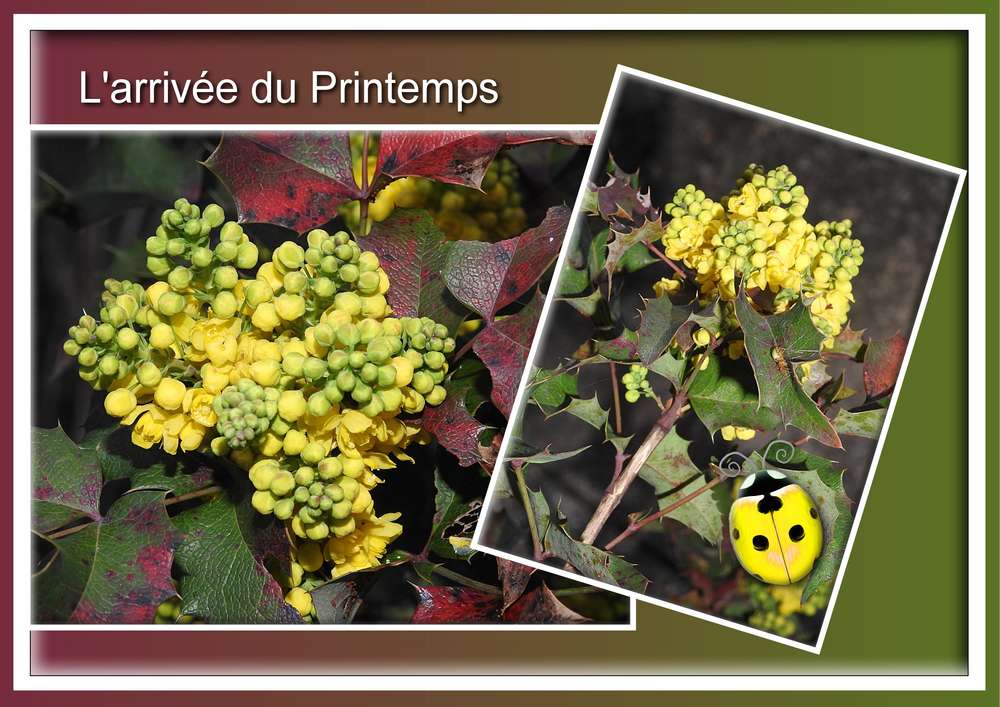 2-REALISATION - L'ARRIVEE DU PRINTEMPS