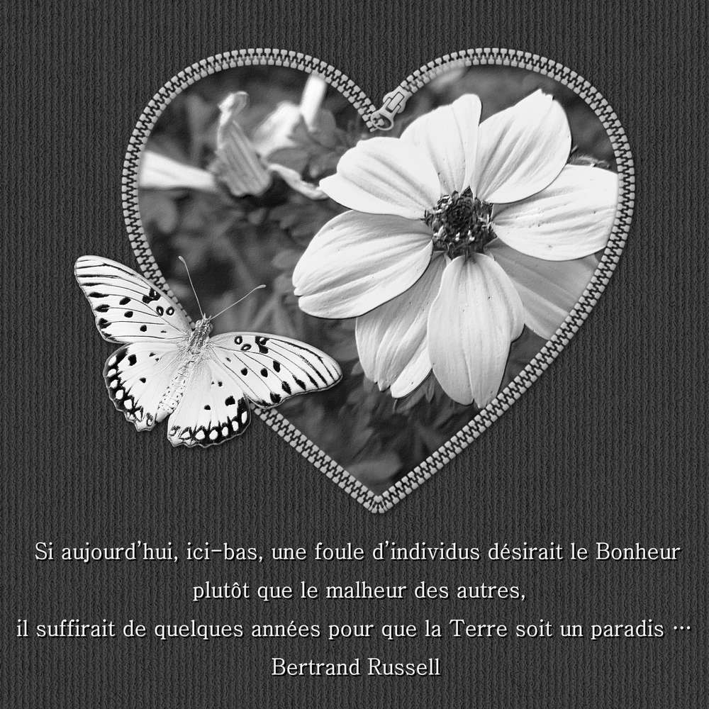 2 - REALISATION - LE BONHEUR