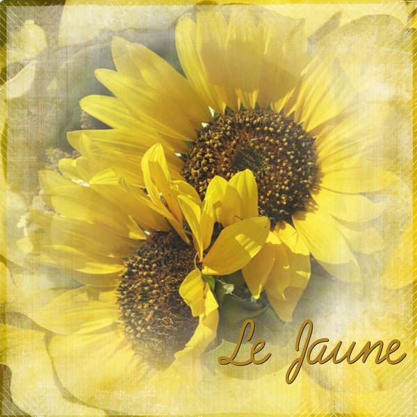 2-REALISATION - LE JAUNE