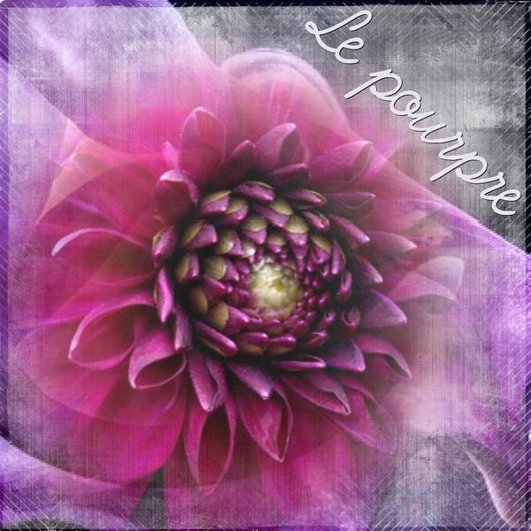 2-REALISATION - LE POURPRE