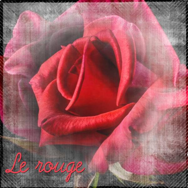 2-REALISATION - LE ROUGE