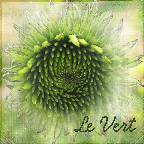 2-REALISATION - LE VERT