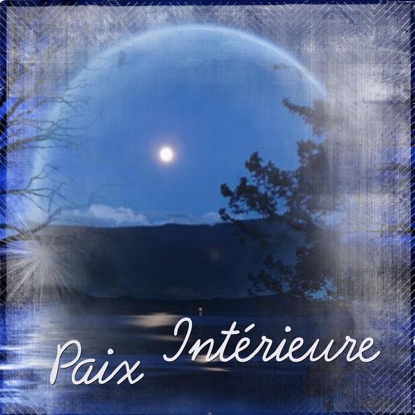 2-REALISATION - L'INDIGO