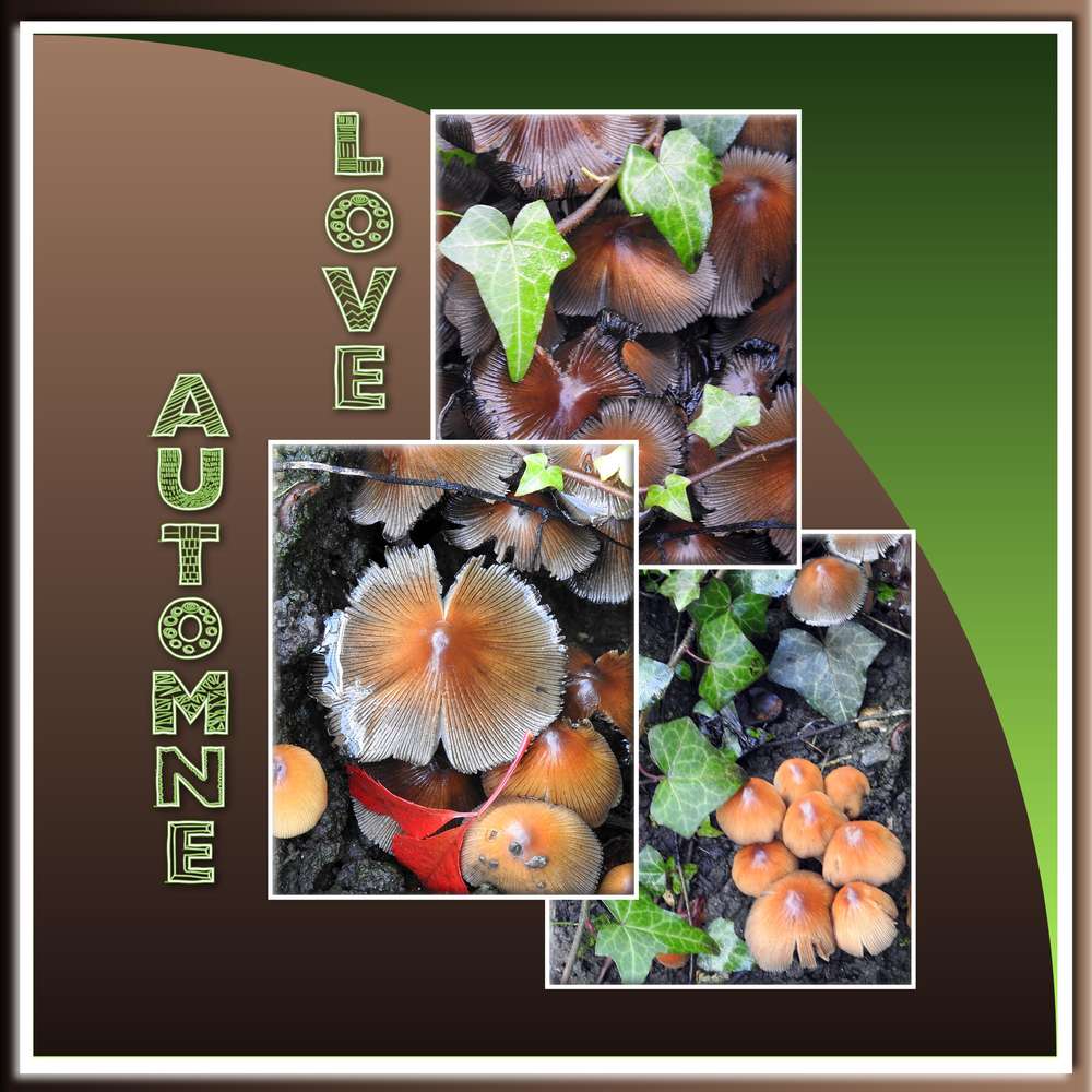 2-REALISATION - LOVE AUTOMNE