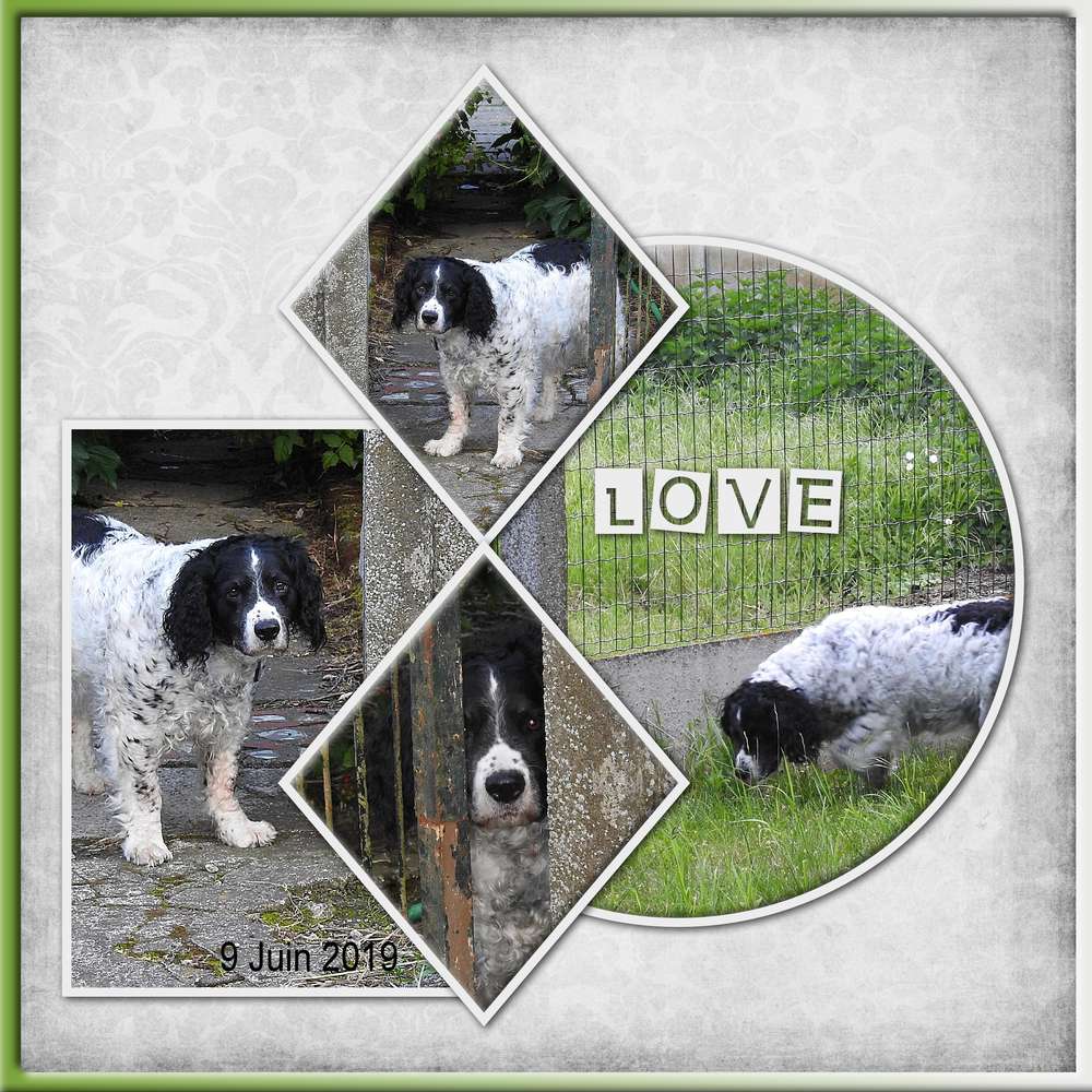 2-REALISATION - LOVE CANNELLE