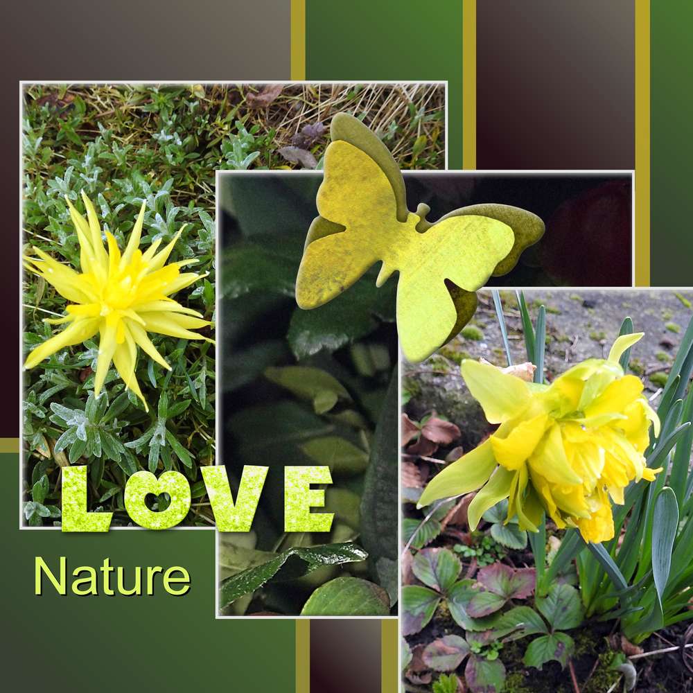 2-REALISATION - LOVE NATURE