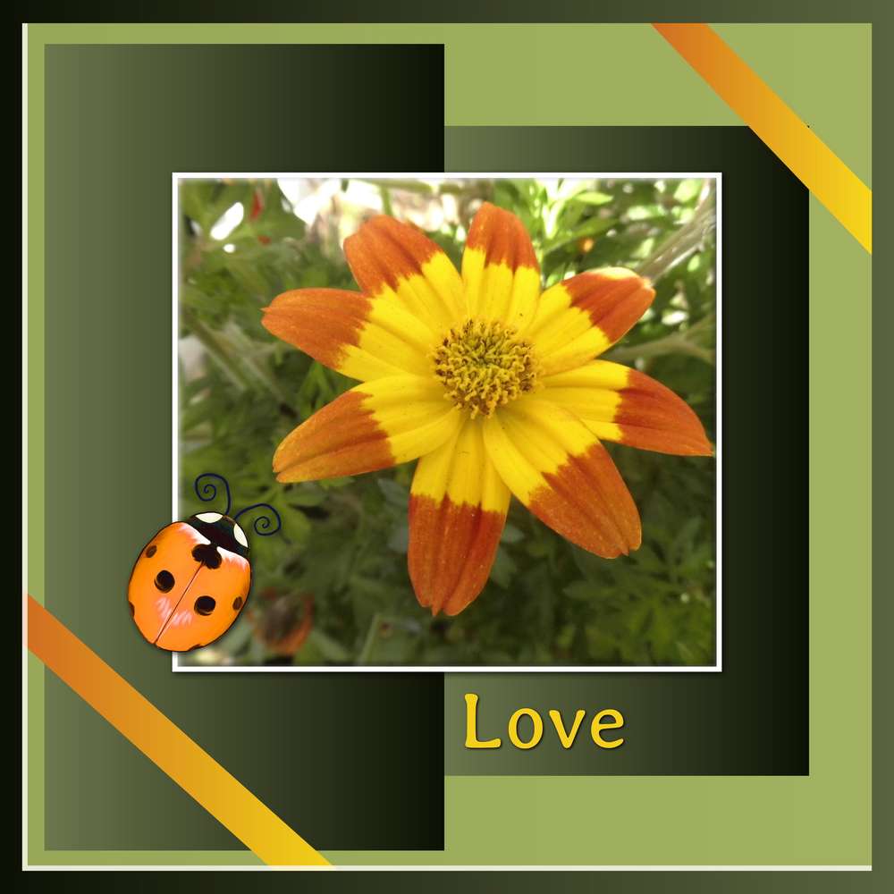 2-REALISATION - LOVE