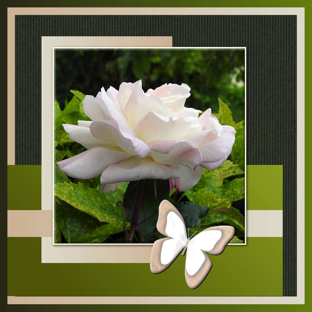 2-REALISATION - MERVEILLEUSE  NATURE