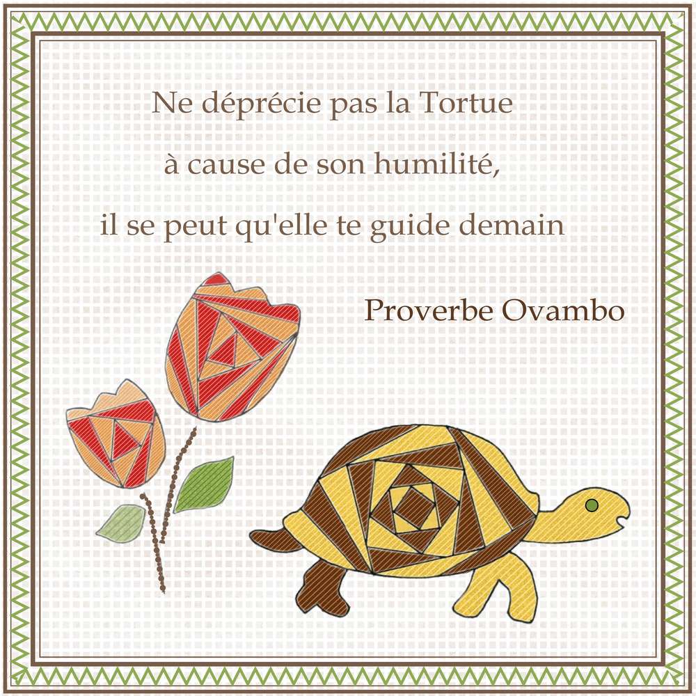 2-REALISATION - NE DEPRECIE PAS LA TORTUE