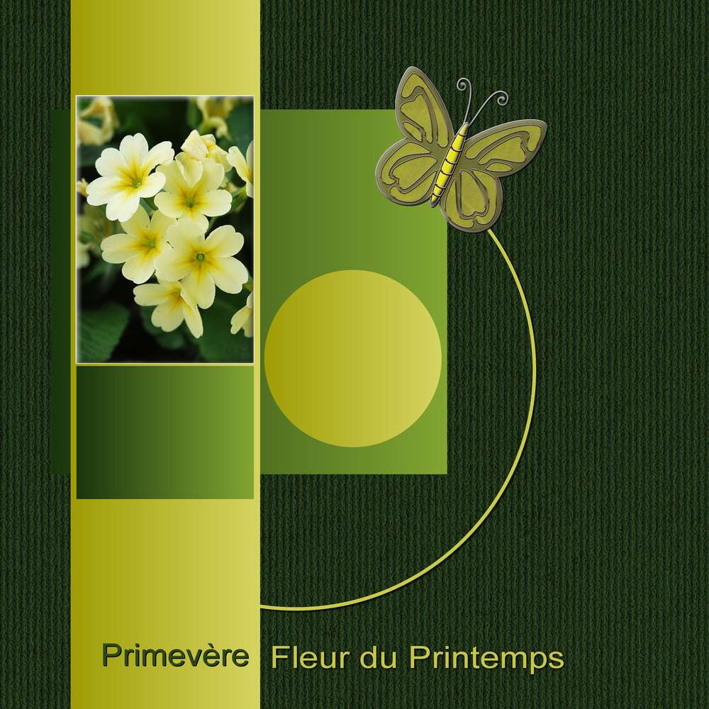 2-REALISATION - PRIMEVERE FLEUR DU PRINTEMPS