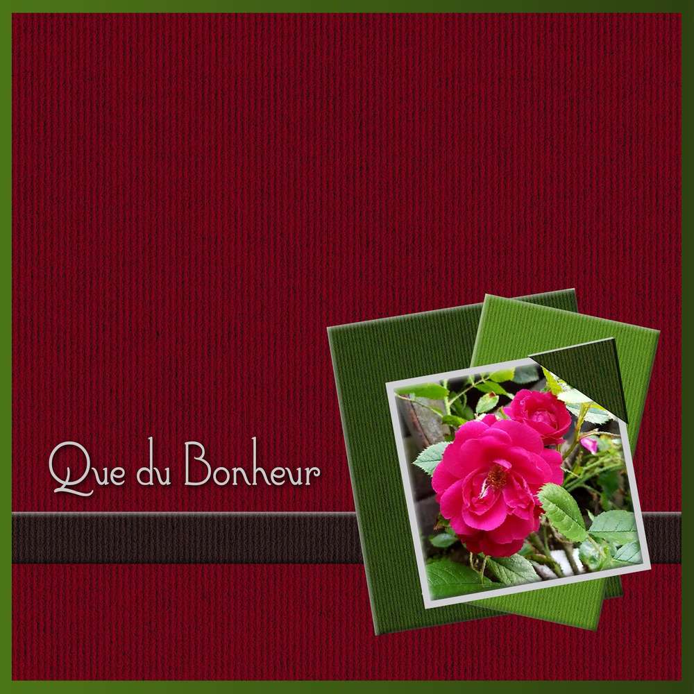 2-REALISATION - QUE DU BONHEUR