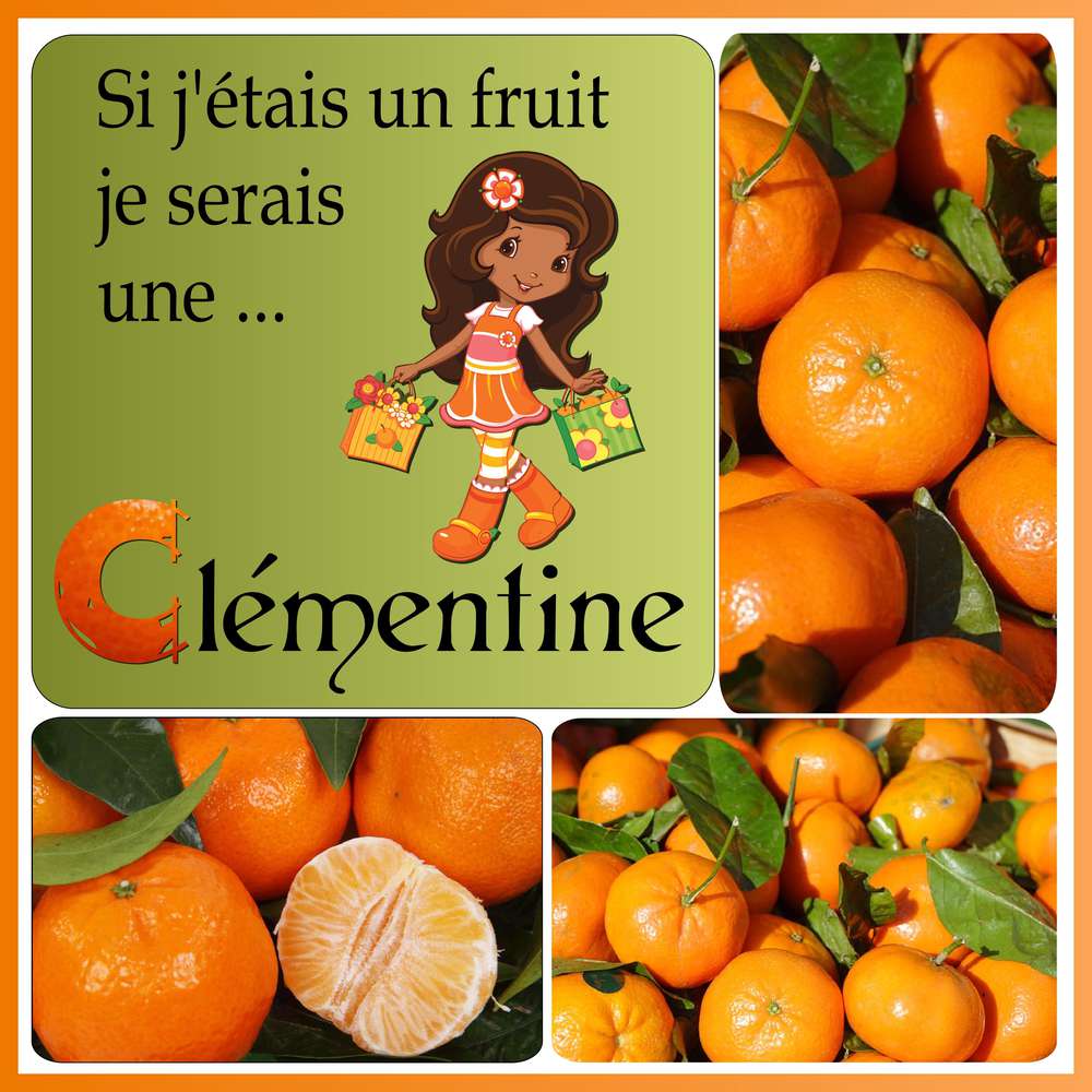 2-REALISATION - SI J'ETAIS UN FRUIT, JE SERAIS UNE CLEMENTINE