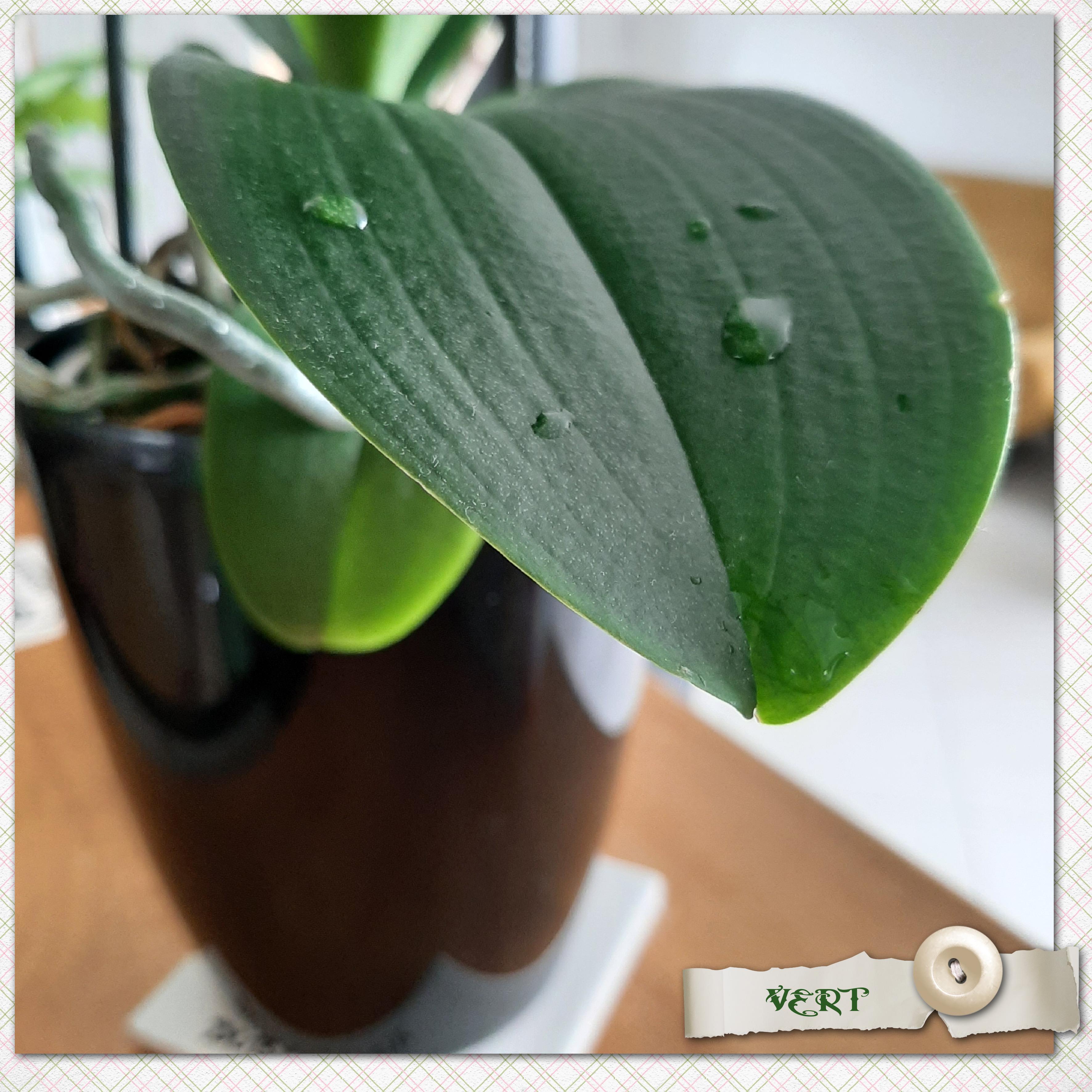 2- Scraptober - Vert.jpg