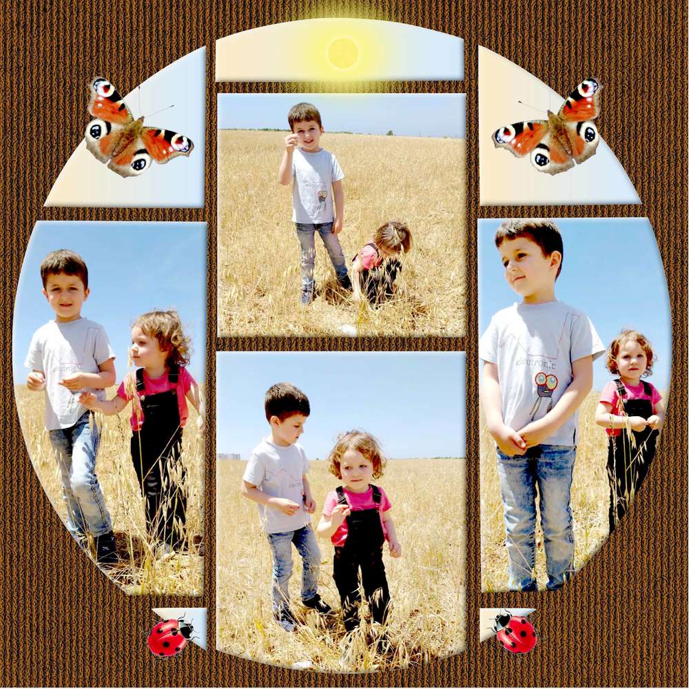 20-06-10_Dans_les_champs