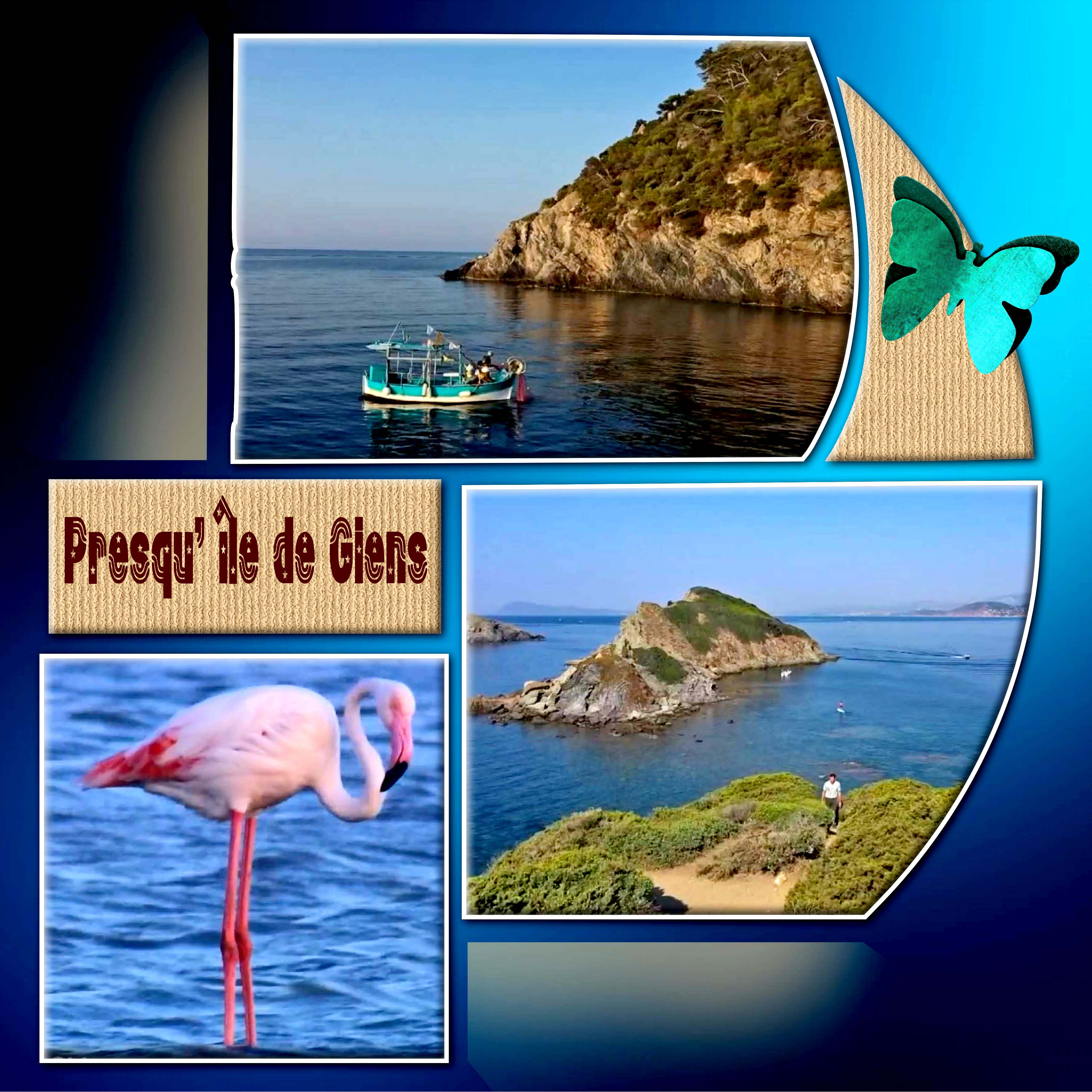 20-11-15 Presqu'île de Giens 2.jpg