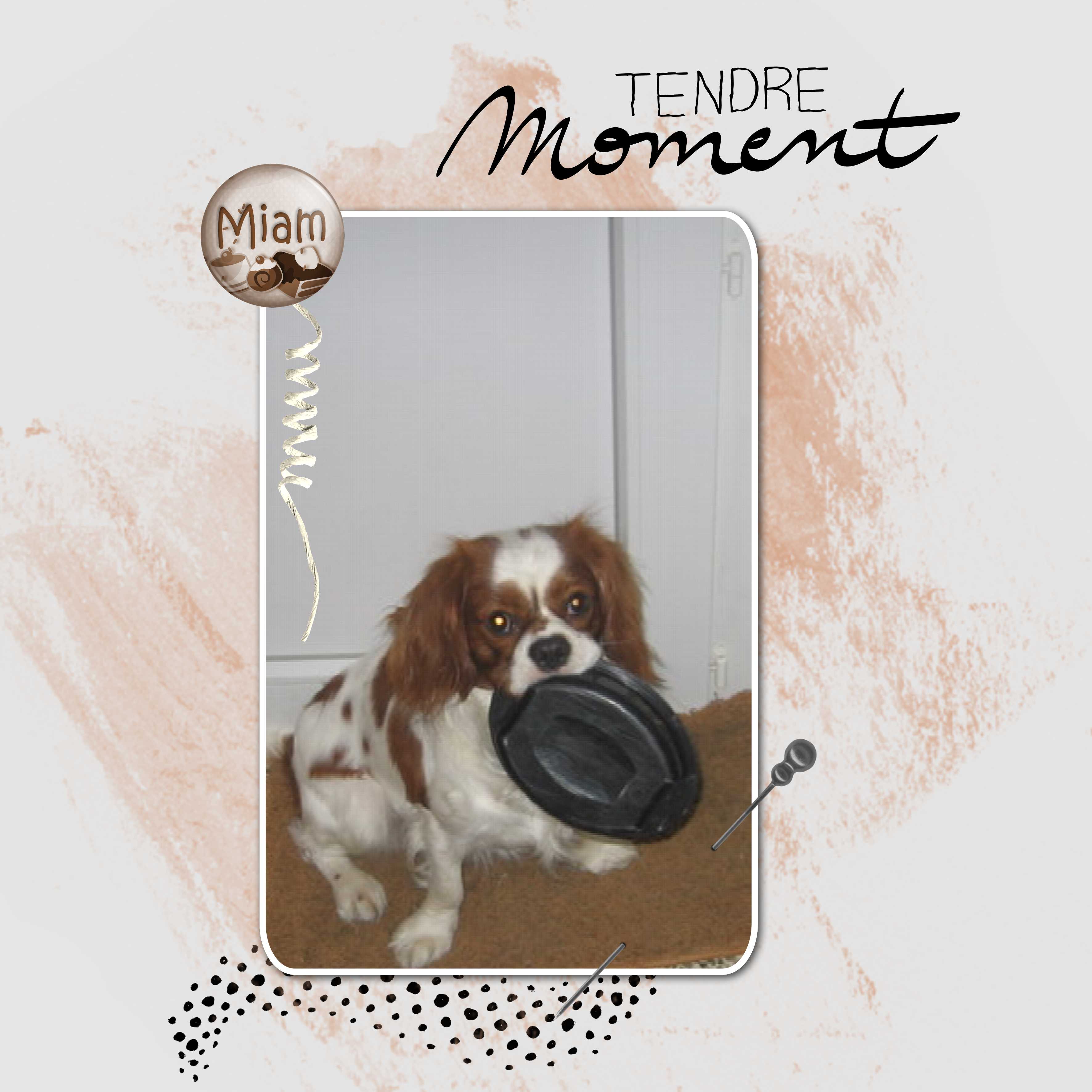 20-9-13c-TEMPLATE TENDRE MOMENT.jpg