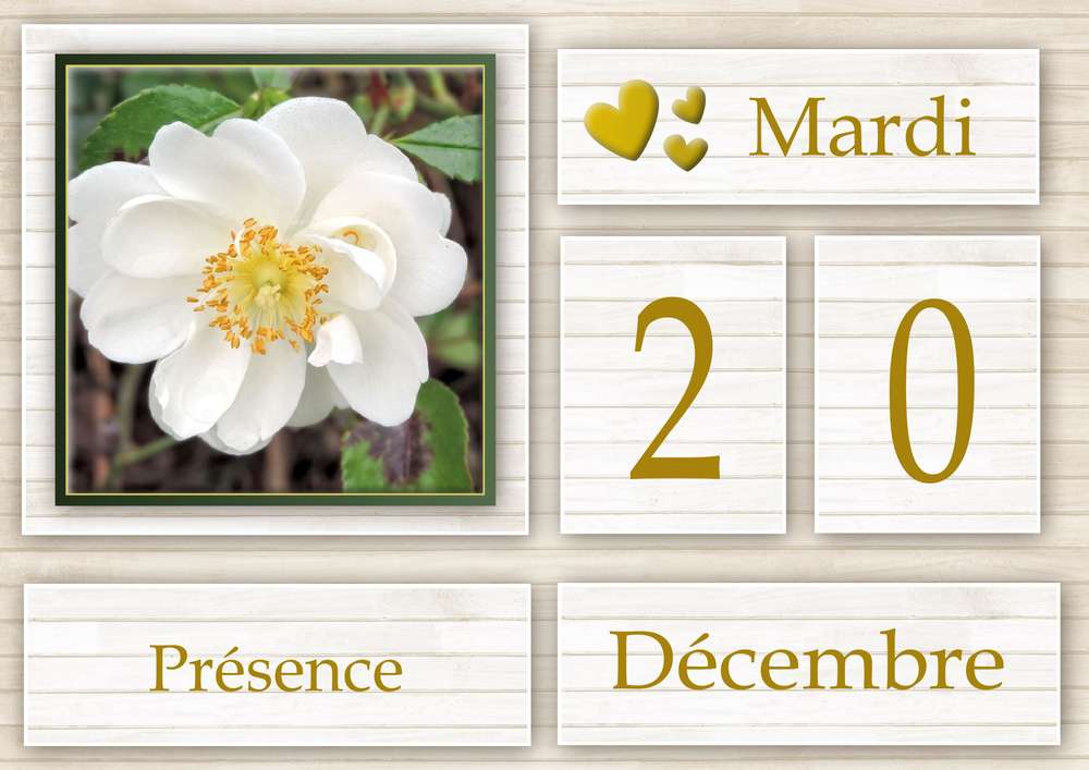 20-CALENDRIER DE L'AVENT - 20 DECEMBRE