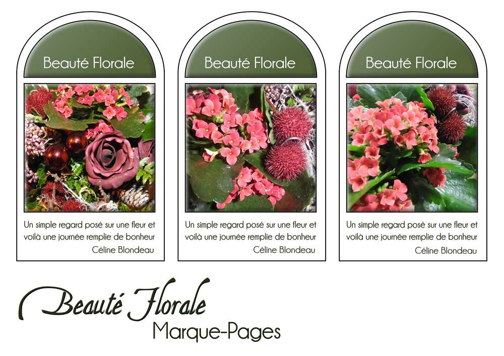 20-MARQUE-PAGES - BEAUTE FLORALE