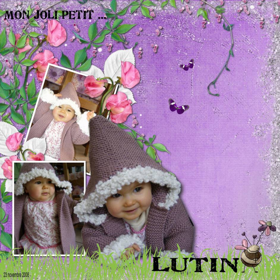 2008-11-23_petit_lutin